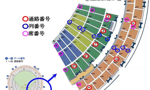 甘露醇 禁忌症是什么-甘露醇 禁忌症网- 甘露醇不适宜人群知识,分享甘露醇什么病人禁用